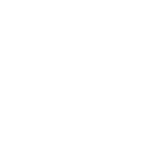 Pictogramme loupe zoomant sur un graphique.