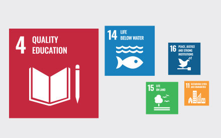 The 17 sustainable development goals. 