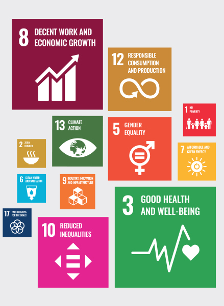 The 17 sustainable development goals. 