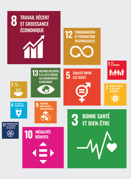 Les 17 objectifs du développement durable.