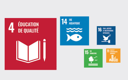 Les 17 objectifs du développement durable.